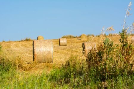 Hay Bales in the Countryside near Rome on Clear Bly Sky Background in July. Italyの写真素材