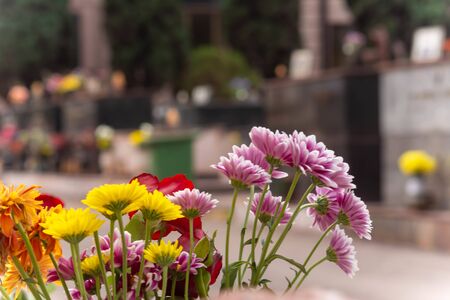Fresh Flowers Deposed in the Day of Commemoration of the Dead on Blurred Backgroundの写真素材