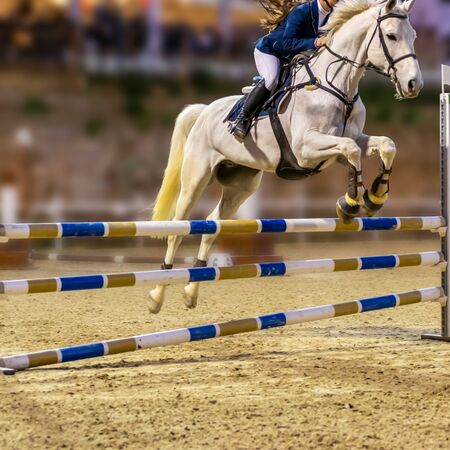 Horse Jumping an obstacle during an equestrian competition on Blurred Background. Copy spaceの写真素材