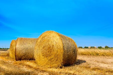 Bales of Hay in Italian Country on Blurred Background. Concept of the end of Summer and the Coutryside Harvestの写真素材
