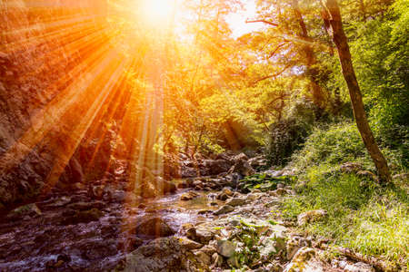 Close Up of Bubbling Water in a litthe cascade in a river in a forest on blurred backgroundの写真素材