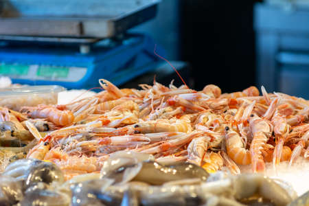 Close Up of Group of Fresh Nephrops Noricus at the Italian Market on Blurred Backgroundの写真素材