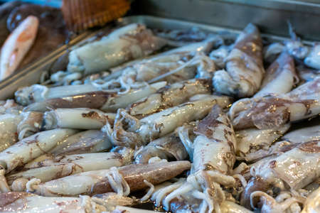 Close Up of Fresh Cuttlefish at the Italian Market on Blurred Background