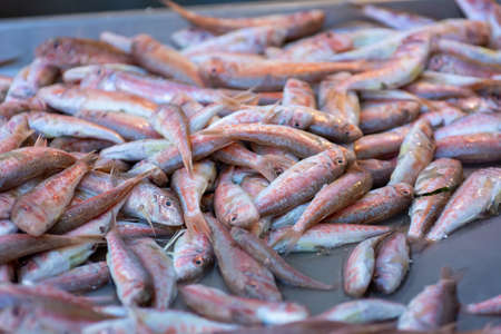 Close Up of Fresh Fish at the Italian Market on Blurred Background