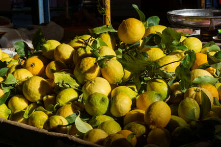 Close Up of a Group of Tangerines at Italian Market on Blurred Backgroundの写真素材