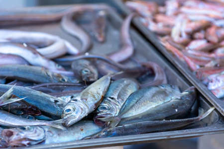 Close Up of Fresh Fish at the Italian Market on Blurred Background