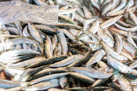 Close Up of Fresh Fish at the Italian Market on Blurred Backgroundの写真素材