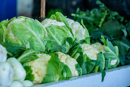 Close Up of Fresh White Cabbage at the Italian market on Blurred Background