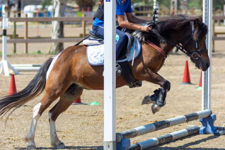 Little Girl that rides a Pony and Jumps the obstacle during Pony Game competition at the Equestrian School on blurred backgroundの写真素材