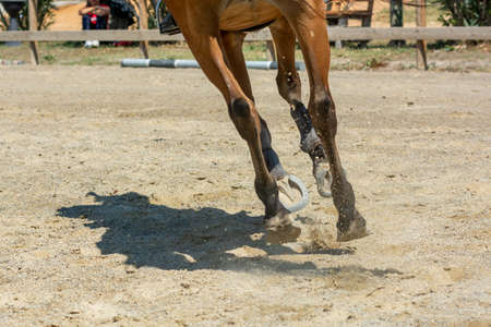movement of the hooves that shake the ground at the equestrian school on blurred background