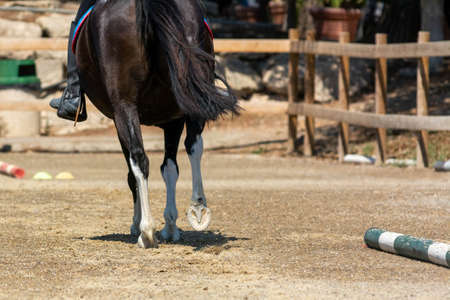 movement of the hooves that shake the ground at the equestrian school on blurred backgroundの写真素材