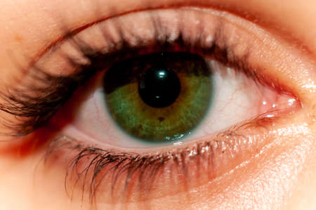 Close Up of Eye with Green Iris Maked Up with Black Mascara on Blurred Backgroundの写真素材