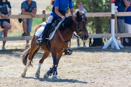Little girl that rides a brown pony during Pony Game competition at the Equestrian School on blurred backgroundの写真素材