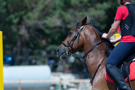 Little girl that rides a brown pony during Pony Game competition at the Equestrian School on blurred backgroundの写真素材