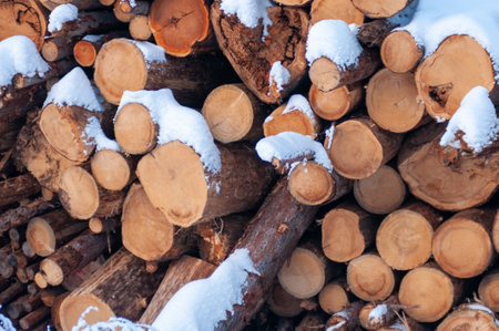 Pile of Logs Snow Covered in Winter on Blurred Background