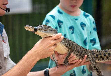 Crocodile Breeder Showing A Little Crocodile To A Child On Blurred Backgroundの写真素材