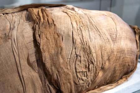 Detail Of The Fabric That Wraps Old Egyptian Mummy On Blurred Backgroundの写真素材