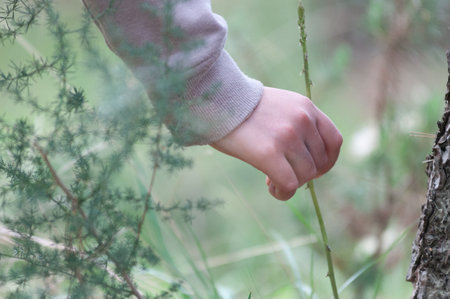 Hand Of A Girl Collecting In The Forest In Spring On Blurred Backgroundの写真素材