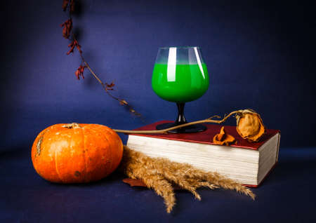 Still life with pumpkin, book, rose and Halloween drinksの写真素材