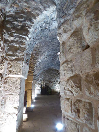Castle of Ajloun, Jordanのeditorial素材