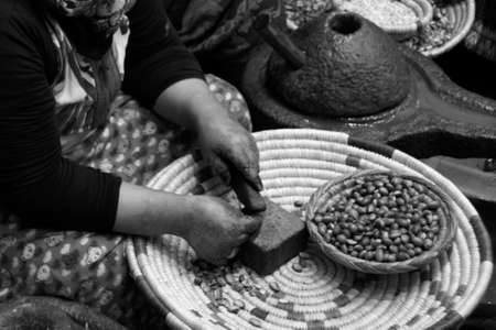 Working with argan seeds craftwomanの写真素材