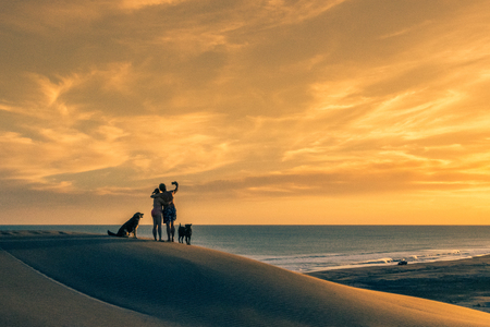 Silhouette of a couple with two dogs on top of a dune taking a photo at sunsetの写真素材