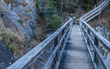 Empty wooden footpath on a mountain in the forest.