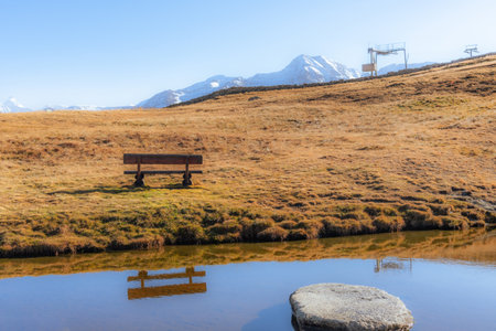 Wooden bench outdoors in the nature in an autumn day.の写真素材