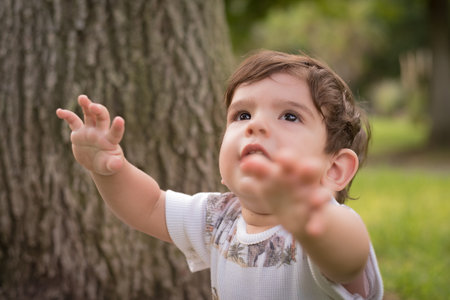 Baby boy asking to be picked up outdoors in a park.の写真素材