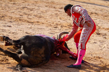 a Spanish bullfighter during his performance in the bullfightの写真素材