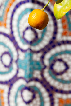 Ripe tangerine on a branch against the background of a mosaicの写真素材