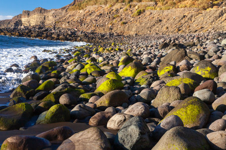 Rocks on a beach of Canary Islands, Spainの写真素材