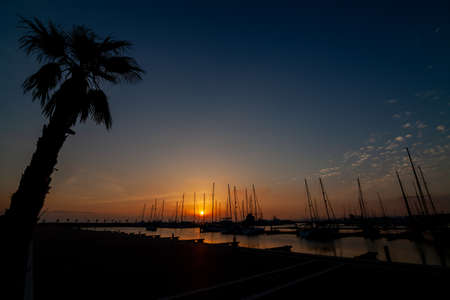 Silhouette of sailboats and palm trees at sunset in a port.の写真素材