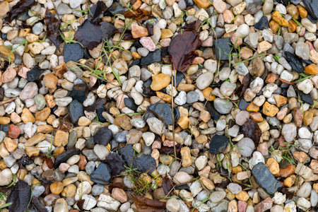 Colored pebbles on the ground as a background texture.