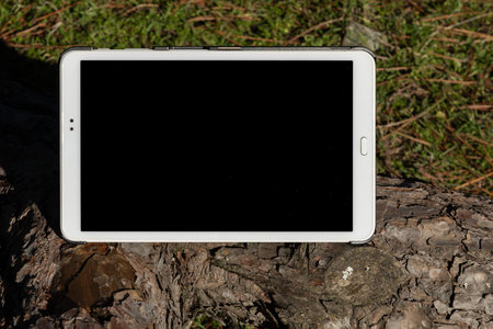 White tablet pc with blank screen on a tree stump in the forestの写真素材