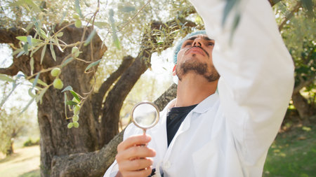 Man with lab coat checking the health of an olive tree touching with handsの写真素材
