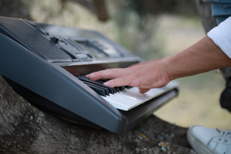 Boy Plays The Musical Keyboard On The Trunk Of A Tree