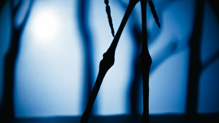 Skeleton Silhouette Walking in Front of a Horror Halloween Background