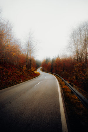 Winding road in the autumn forest. Beautiful landscape with empty asphalt road.