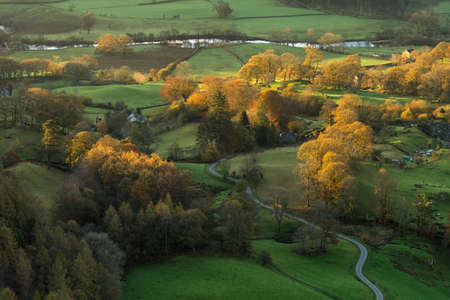 Morning light shining on Autumnal coloured tree's with a curving path leading through the landscape. Taken in the English Lake District.の写真素材