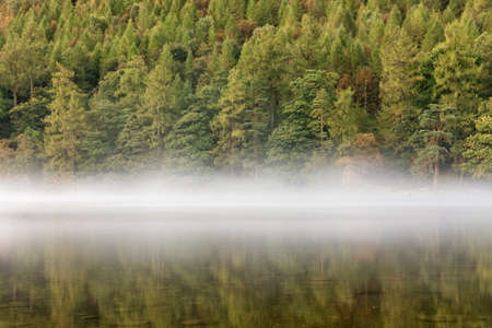 Forest Tree's reflecting in calm lake with a layer of mist on an Autumn morning at Buttermere in the Lake District.の写真素材