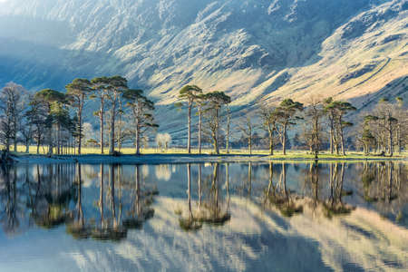 Beautiful light shining on tree's at Buttermere in the Lake District on a calm spring morning.