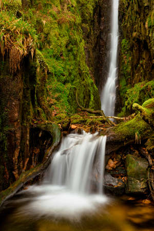 Scale Force waterfall in the English Lake District covered in green moss.の写真素材