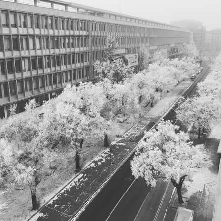 Winter streetの素材