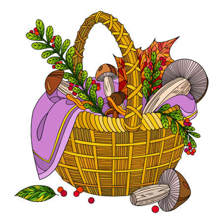 Autumn harvest. Mushrooms, berries and leaves in wicker basket. Fall vector illustration for print, poster, design, coloring books. Line art with doodles.のイラスト素材