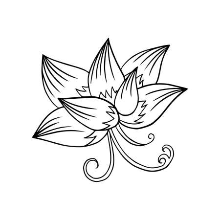 Gift doodle. Vector present line art. Packaging with bow and ribbon isolated on white. Flat lay illustration.のイラスト素材