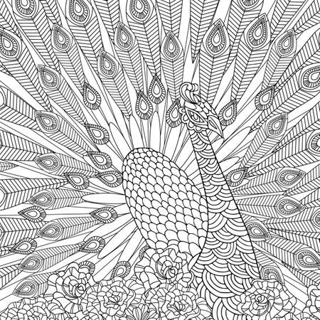 Beautiful peacock with big detailed tail. Coloring book page for adult with doodle and zen tangle elements. Wildlife exotic bird. Vector hand drawing for anti stress.のイラスト素材