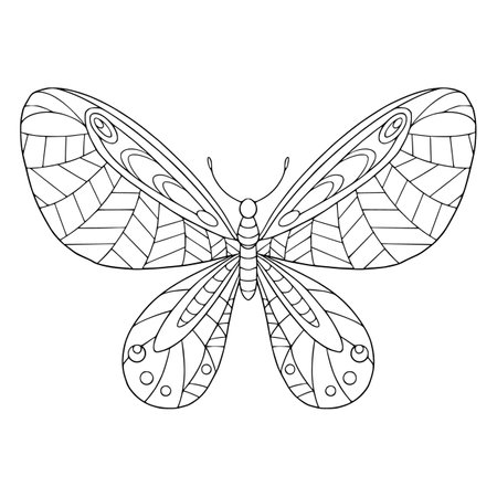 Beautiful butterfly with decorated wings coloring page. Vector outline illustration with doodle  for coloring book for adult. Lovely garden insect.のイラスト素材