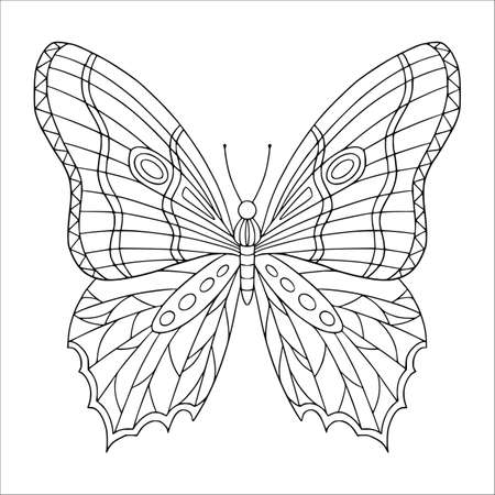 Beautiful butterfly with decorated wings coloring page. Vector outline illustration with doodle  for coloring book for adult. Lovely garden insect.のイラスト素材