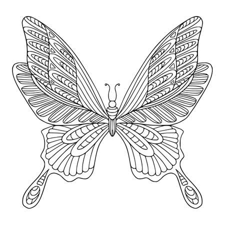 Beautiful butterfly with decorated wings coloring page. Vector outline illustration with doodle for coloring book for adult. Lovely garden insect.のイラスト素材